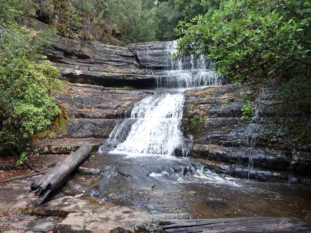 Lady Barron Falls in Mount Field National Park, an 8-metre cascading waterfall along a forested walking circuit with nearby steps leading back to the visitor centre.