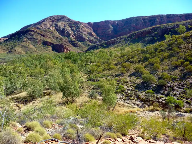 Ormiston Gorge in the West MacDonnell Ranges with rugged cliffs, a permanent waterhole, and desert vegetation along the hiking trail.