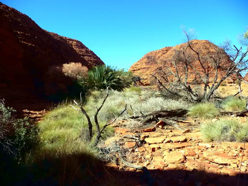 Hikers climbing Heartbreak Hill on the Kings Canyon Rim Walk, with dramatic canyon views in Australia’s Northern Territory