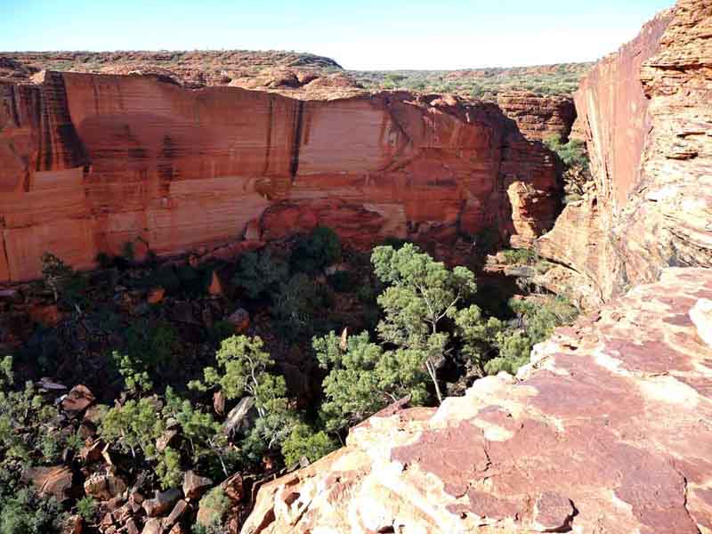 View from the Kings Canyon valley looking up to the rim, showing towering sandstone cliffs and dramatic outback scenery