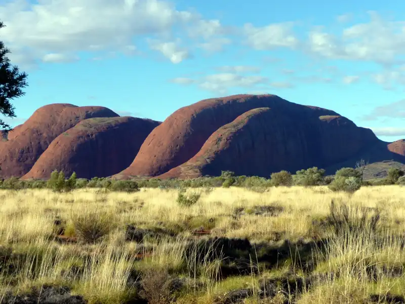 Panoramic view of the domes of Kata Tjuṯa (The Olgas) from the dune viewing area in Australia’s Red Centre.