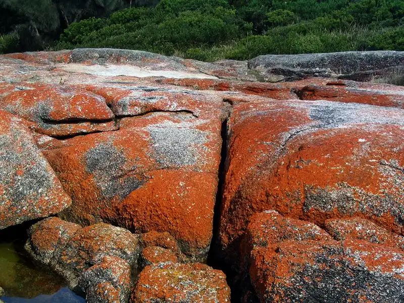 Orange lichen-covered granite boulders along the Bay of Fires coastline in Tasmania, with white sandy beach and turquoise water.
