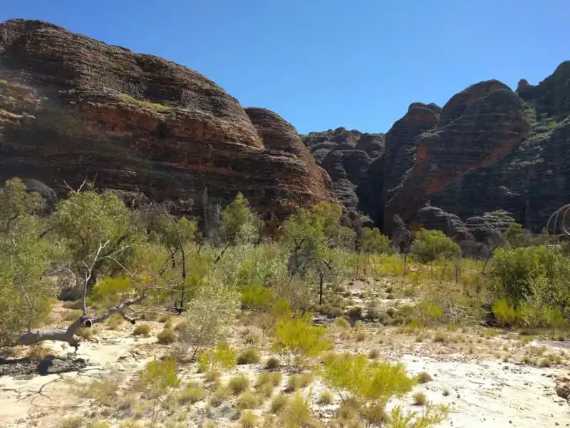 Bungle Bunglesbeehive shaped domes