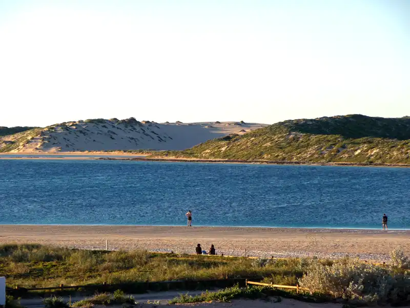 A sandy beach with a few people near the water, blue ocean in the foreground, and sand dunes covered in sparse greenery under a clear sky—typical scenery along the Ningaloo Coast, home to manta rays near Coral Bay.