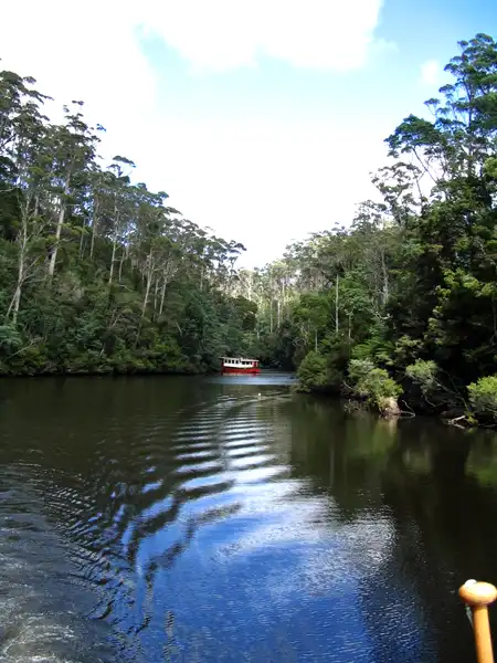 cruise along the Arthur River into the Arthur Pieman Conservation area