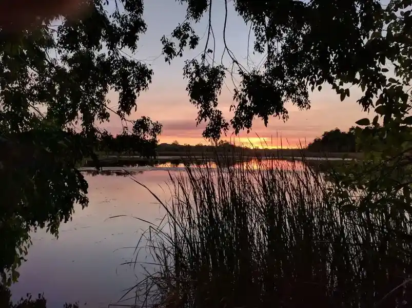 Cabins at Discovery Parks beside Lake Kununurra, with calm water, trees along the shoreline and surrounding Kimberley landscape.