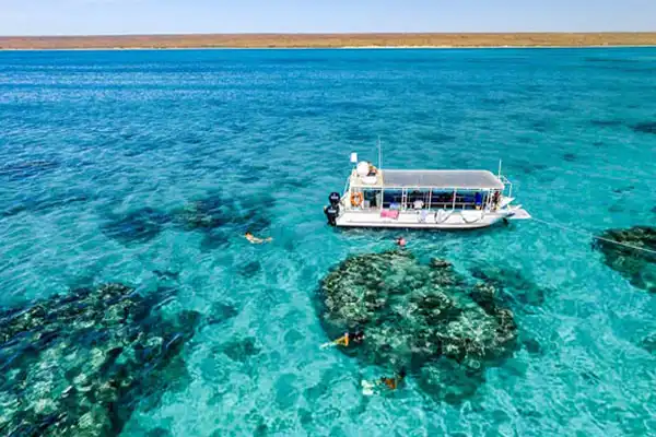 Glassboat Ningaloo Reef 4