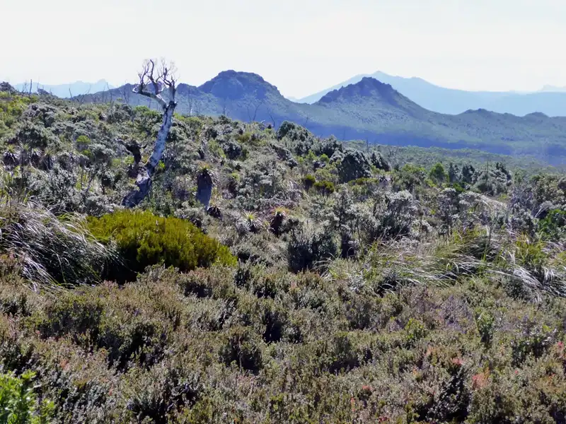 Hartz Mountain Panorama