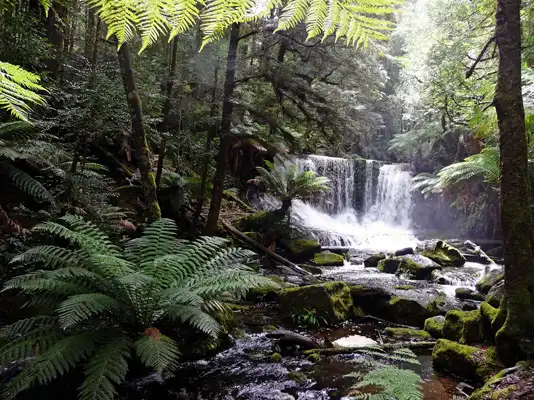 Horseshoe Falls Mt Flield Tasmania 2