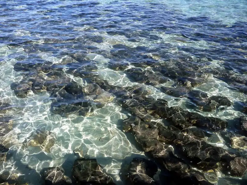 Clear, shallow ocean water along the Ningaloo Coast with sunlight reflecting on the surface and illuminating dark rocks below, creating shimmering patterns and highlighting the rocky seabed.