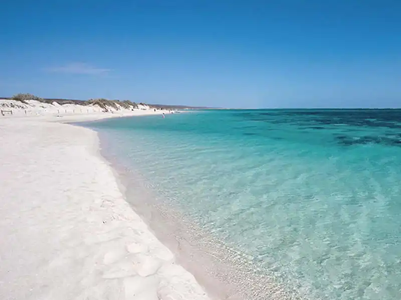 A pristine beach with soft white sand and clear turquoise water under a bright blue sky, typical of the Ningaloo Coast. The shoreline curves gently, with sparse vegetation visible—a perfect spot on an Exmouth to Perth road trip.