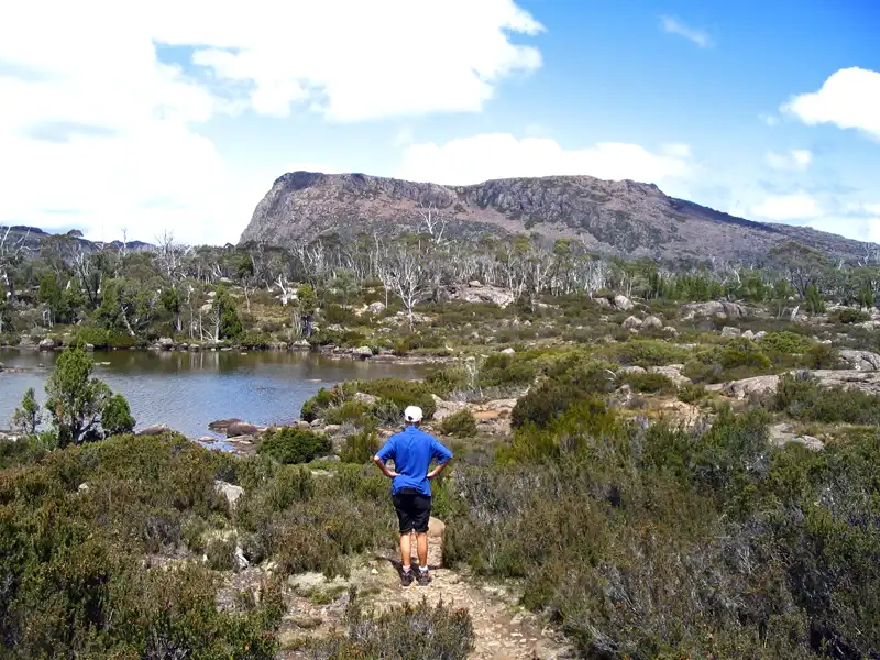 Solomon’s Jewels,  surrounded by majestic Pencil Pines Walls in Jerusalem National Park