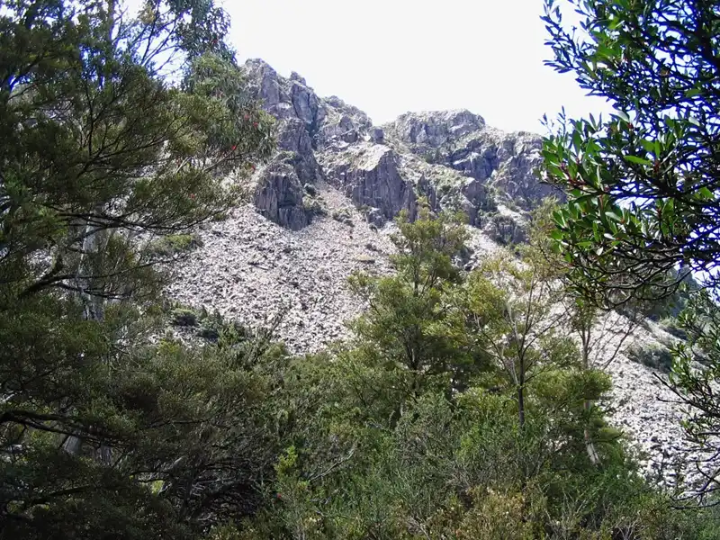steep climb through the forest Meander Falls Hike tasmania
