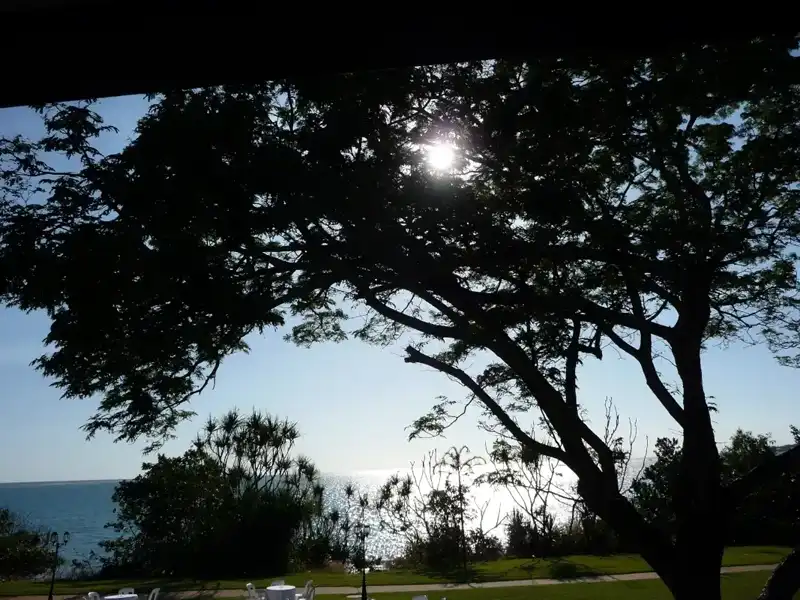 Darwin Esplanade waterfront with shaded paths and coastal views near the CBD