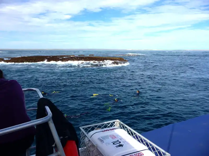 Several people snorkel in blue ocean water near a rocky reef at the Ningaloo Coast, with waves breaking around it. The image is taken from a boat, part of which and some gear are visible in the foreground. The sky is partly cloudy.