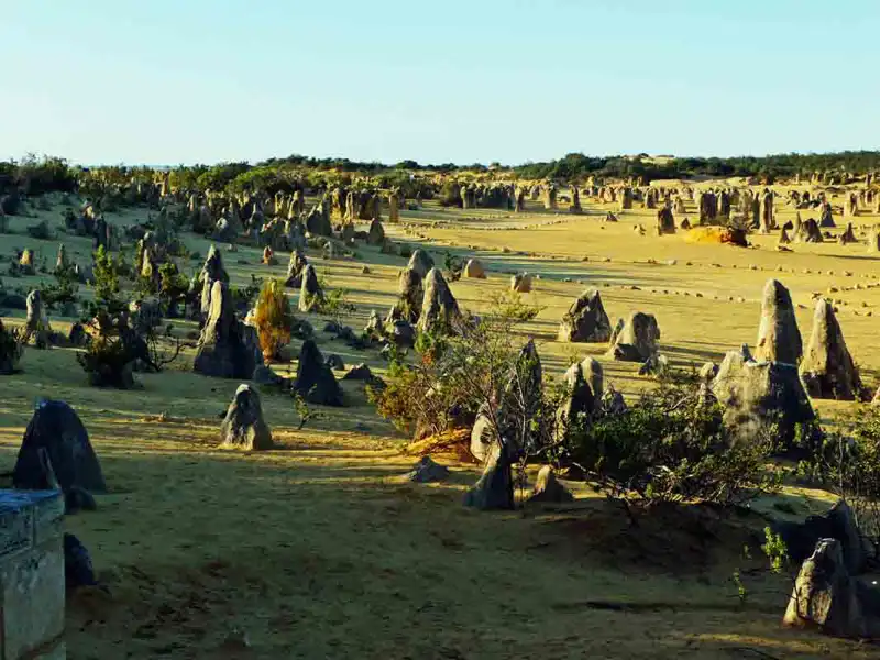 Limestone formations rising from yellow sand at the Pinnacles Desert in Nambung National Park, Western Australia.