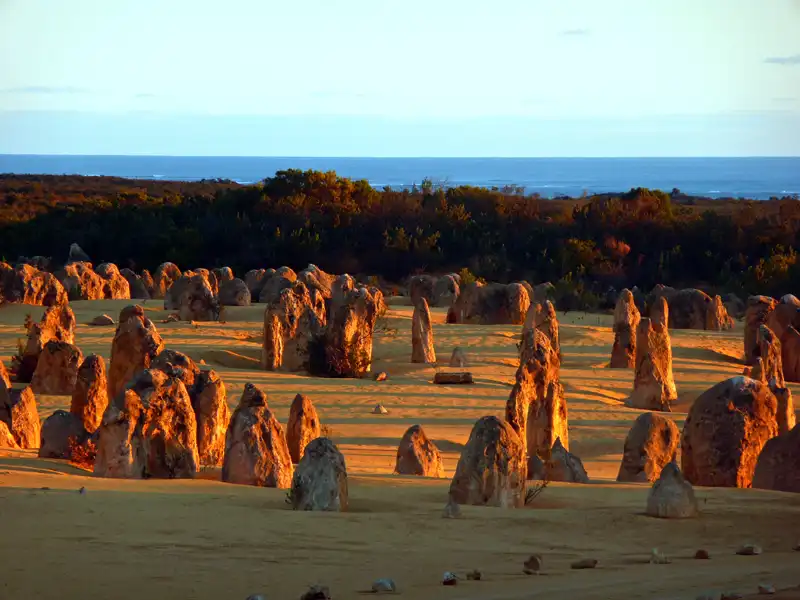 Pinnacle at sunset in the Pinnacles Desert in Nambung National Park, Western Australia.