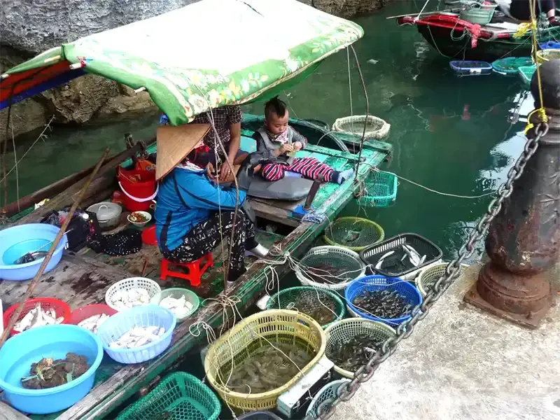 Woman and child selling freshly caught fish from a small wooden boat in Ha Long Bay, Vietnam.