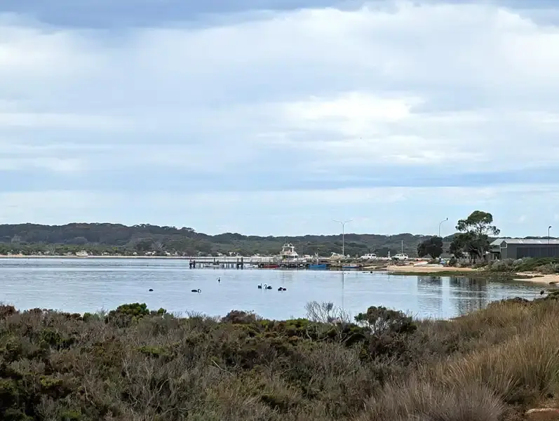 Pelican Lagoon, waterbirds, boats at American River, Kangaroo Island