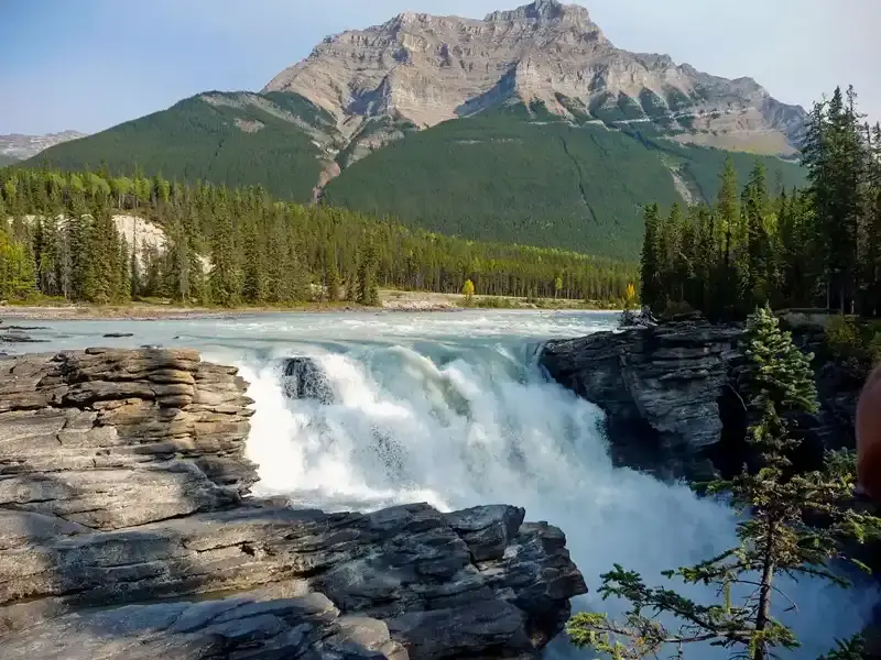Athabasca Falls in Jasper National Park, a powerful waterfall in the Canadian Rockies plunging through a narrow rocky gorge.