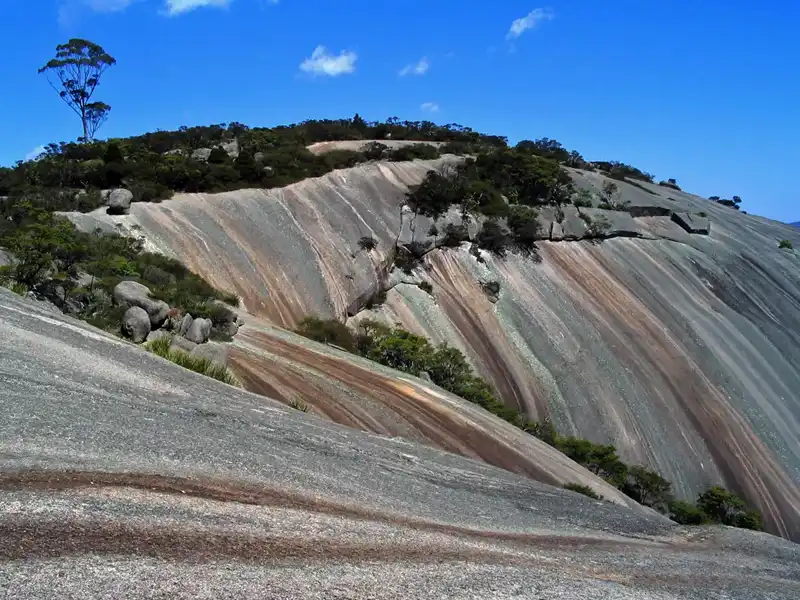 Bald Rock Summit on Bushwalks in NSW National Parks
