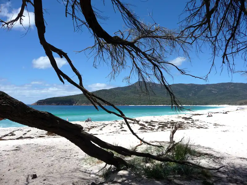 Wineglass Bay in Freycinet National Park with white sandy beach and turquoise water below the lookout steps.