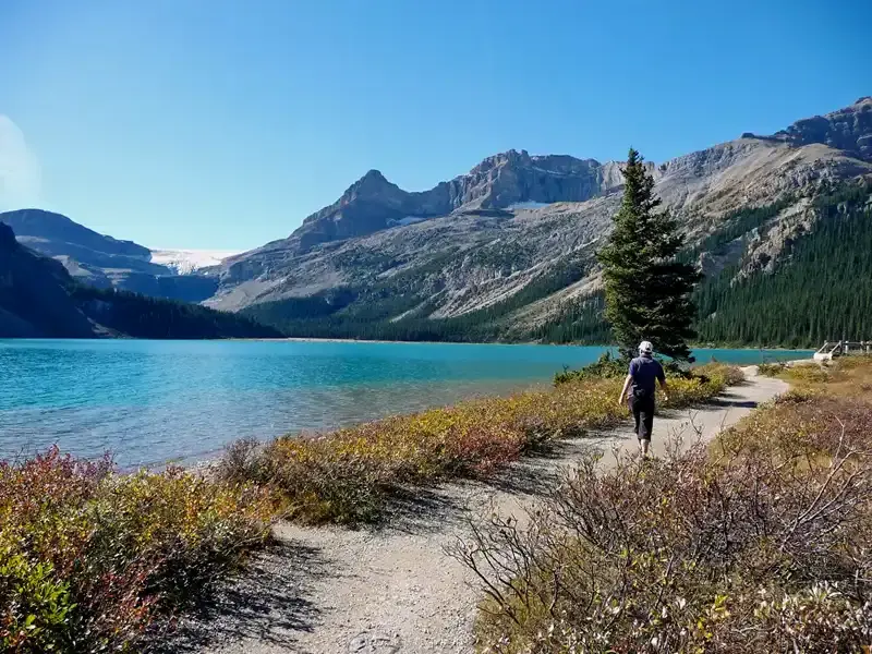 Hiker at Bow Lake and Mountains at Icefields Parkway, Banff National Park