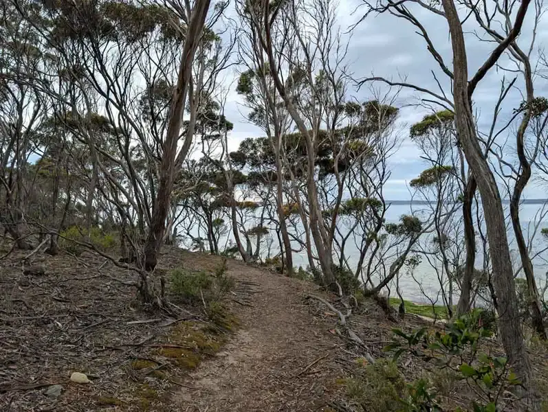 Cannery Walk along the Pelican Lagoon, America River, Kangaroo Island
