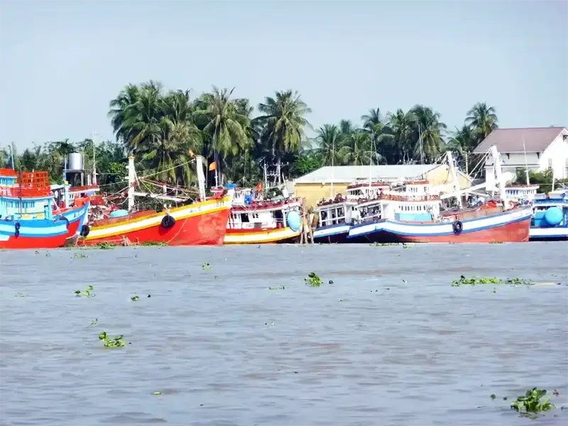 Cruising the wide, muddy waters of the Mekong Delta, Vietnam