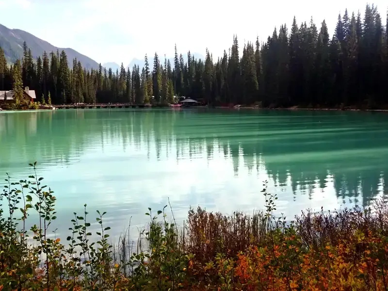 Emerald Lake with vivid emerald-green and turquoise water and surrounding conifers