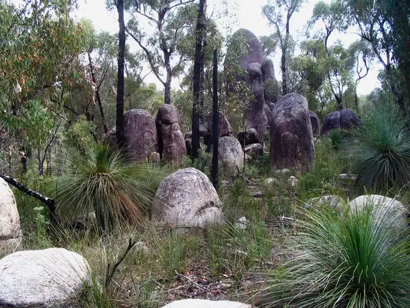  Granite wonderland Bald Rock National Park,NSW