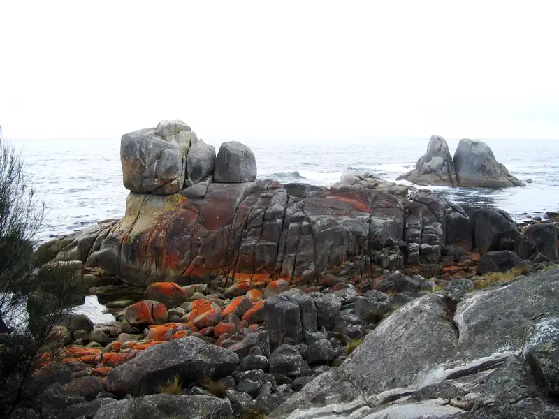 orange-hued granite boulders at Bay of Fires walks , Tasmania