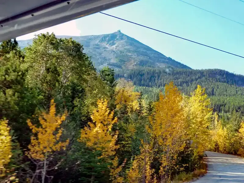 Mushroom foraging in the Canadian Rockies after a mountain hike, discovering wild mushrooms along the trail.