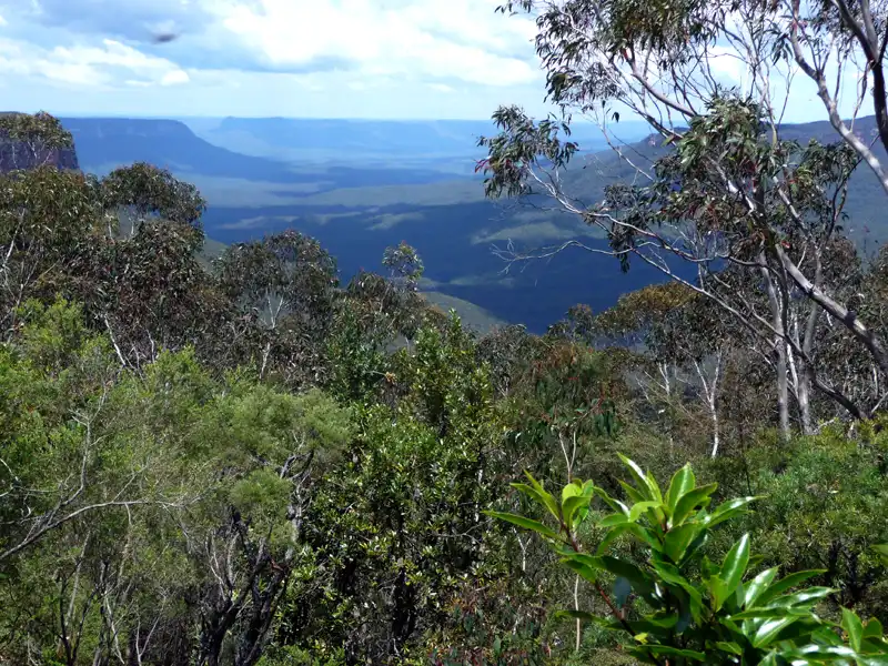 Jamison Valley Katoomba Blue Mountains 1