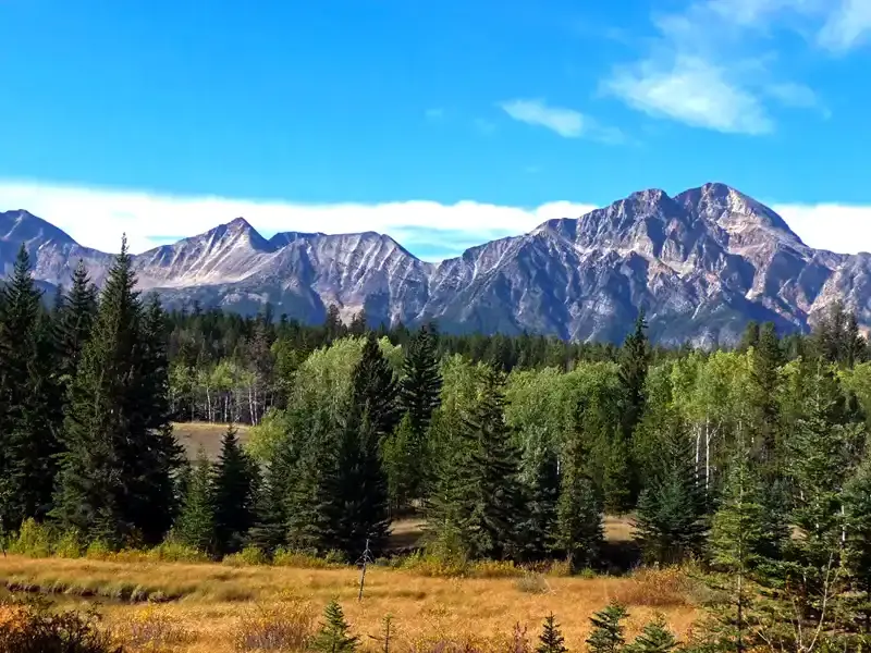 Jasper National Park hiking First Lake Trail 1