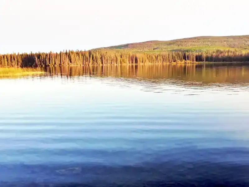 Sunny day at Lake Lac le Jeune with dense forest