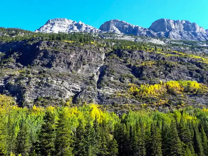 Snow-capped mountains and autumn colours along the Icefields Parkway, one of the most scenic drives in the Canadian Rockies.