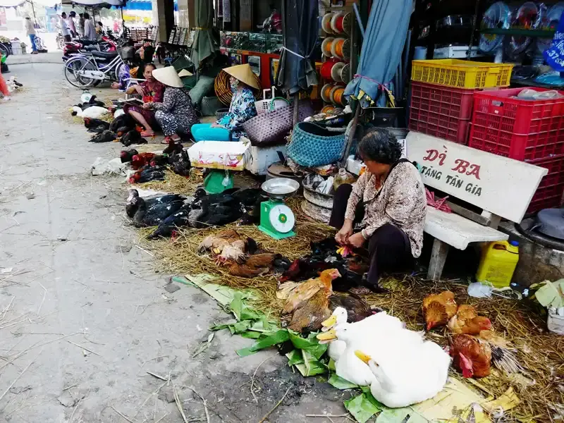 Traditional village market in Di Ba Vietnam selling fresh vegetables, fruit, poultry, fish and frogs.