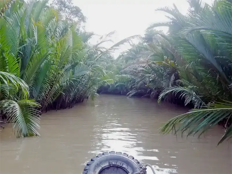 gliding along a narrow canal lined with dense nipa palms to small riverside settlement, Mekong Delta