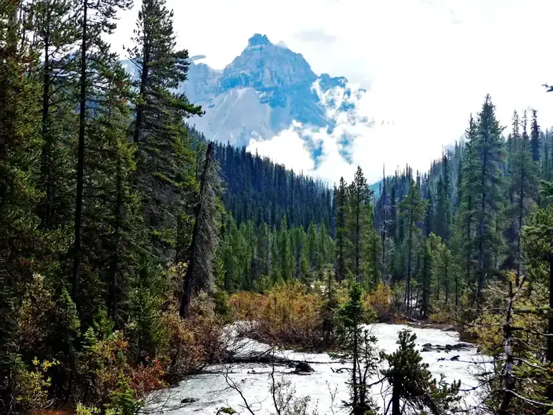 Hiking National Park Yoho on our Canadian Rockies Road Trip
