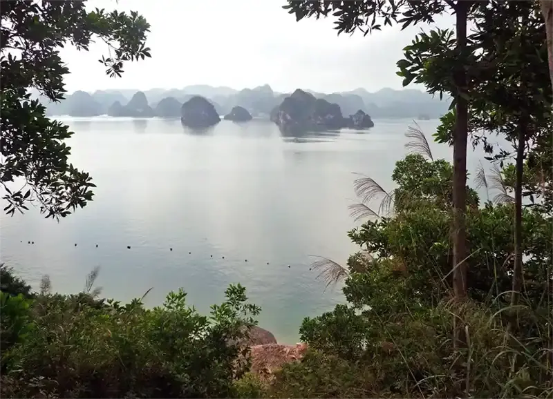 limestone karsts rising from the water Ha Long Bay Vietnam