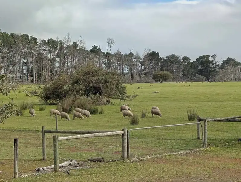 Natural bushland and abundant wildlife Discovery Park Flinders Chase National Park
