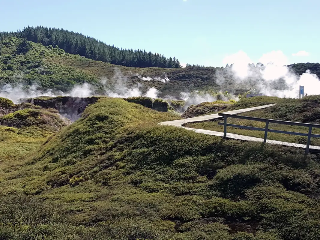 large area of land north of Taupo hot and steaming , New Zealand