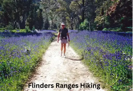 Flinders Ranges South Australia