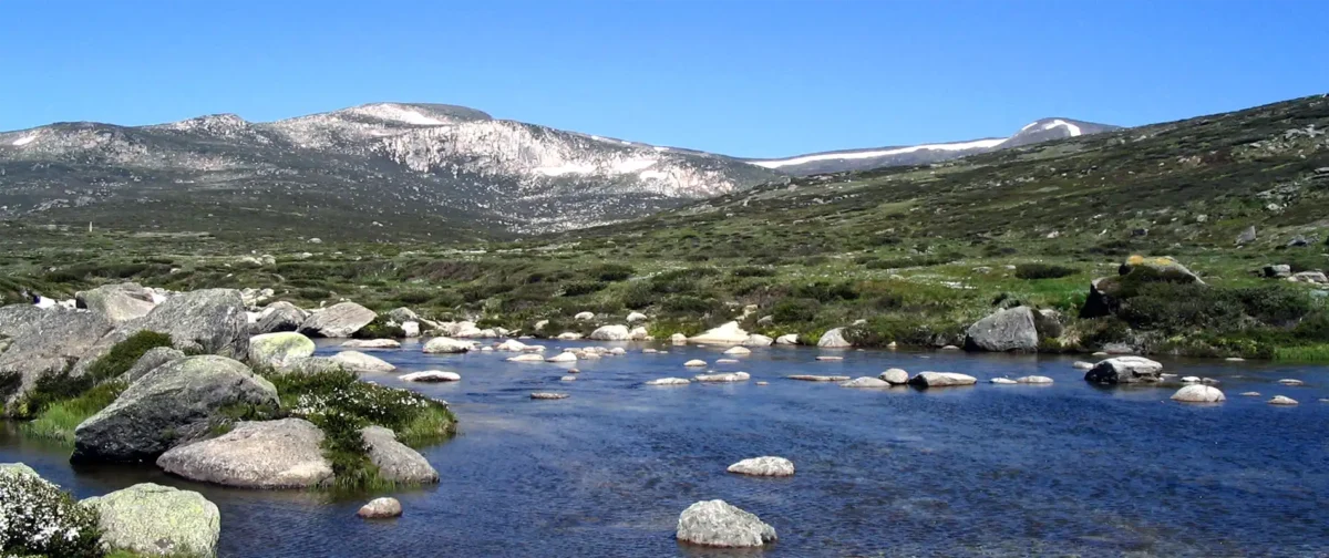 The Snowy River near Mount Kosciuszko in the Australian Alps.