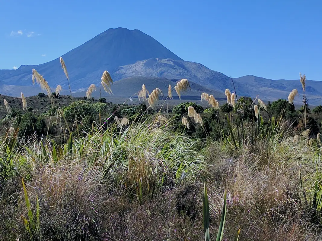 Mount Ngauruhoe, 2,291 above sea level, North Island , New Zealand