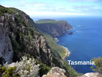 Hiking trail view of the towering sea cliffs in Tasman National Park.