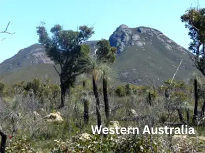 View of the Stirling Ranges in southern Western Australia, surrounded by native bushland and mountain scenery.