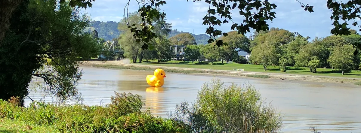 Whanganui River New Zealand