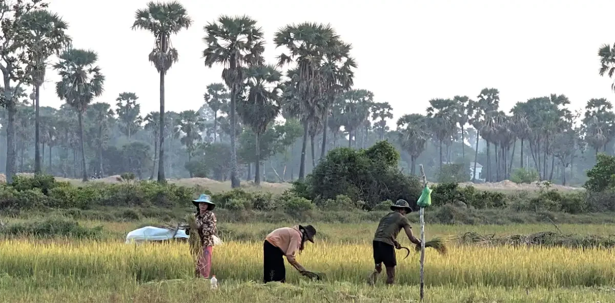 Independent travellers watching farmers working in rice fields in Southeast Asia